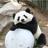 tainarong1's profile image