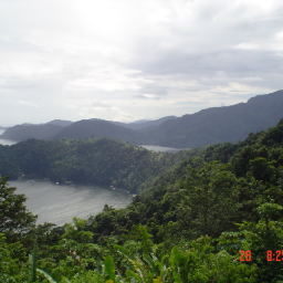 robroy2012's profile picture. 