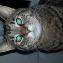 Bill Schulz - @interlogis99 - Twitter