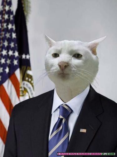 Levando um papo picante aqui com um marimbondo.   este perfil encontra-se namorando por favor gatas podem dar em cima de mim.