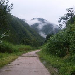 esanez64's profile picture. 