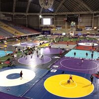 Tyler Hodges (@hodges_tyler160) 's Twitter Profile