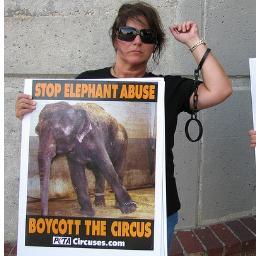 STOP THE TERRIBLE ELEPHANT ABUSE