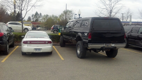 schembo2000's profile picture. 