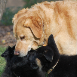 BobKane10's profile picture. 