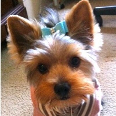 Pearlilicious11's profile image