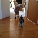 Bob Olsen - @BobUsmc75 - Twitter