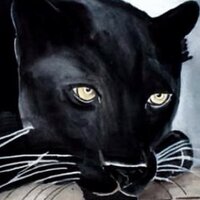 Mary Rankin(@Purring_panther) 's Twitter Profile Photo