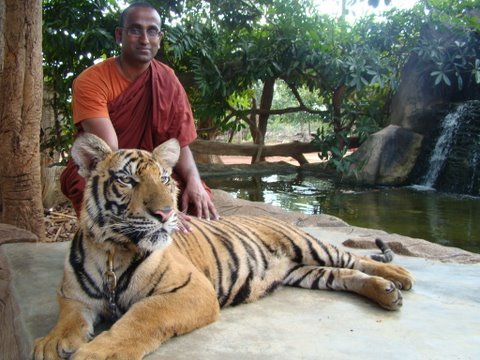 Buddhist Monk