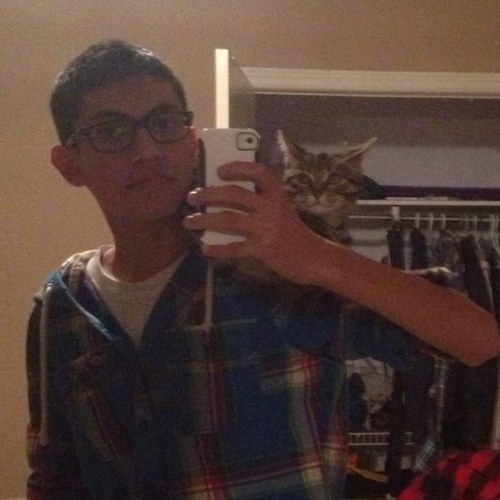 masaratisohail's profile picture. 