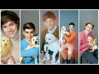 Hey, I'm new on Twitter and I'm a Boy directioner. #Bring1DtoSA. #Teamfollowback