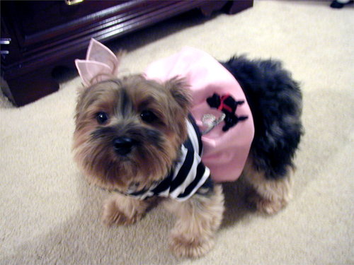 kathmor's profile picture. 