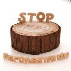StopDeforestat1's profile picture. 