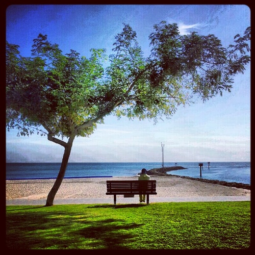 alaa_al6weel's profile picture. القمة هدفي .... و البحر عشقي .....و الحوت برجي....و الحياة الهامي