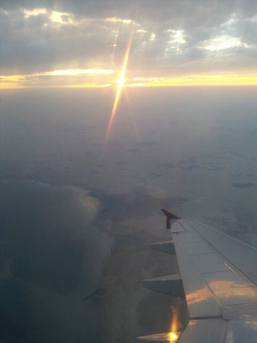 hassouni1979's profile picture. 