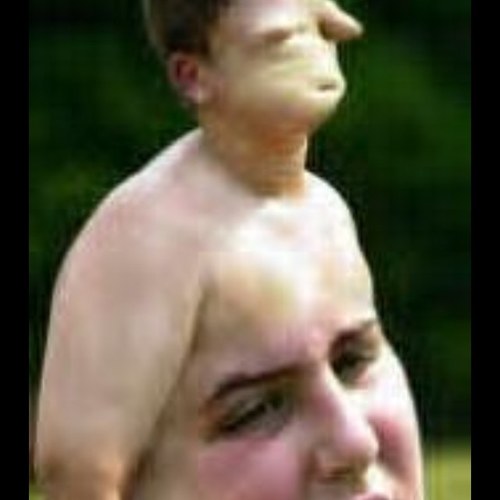 Bearsopinion's profile picture. Hey