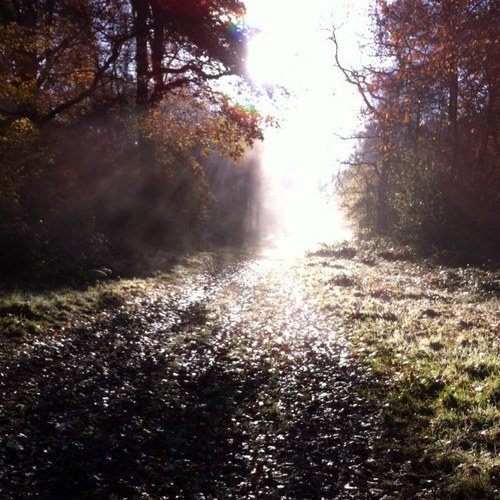 ForresterMartin's profile picture. Crystal Palace fan, play hockey and like playing golf. enjoy drinking guiness lots off.