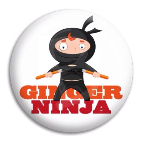 I am ginger, and I am a Ninja.... I am a red headed sneaky fucker... Deal with it