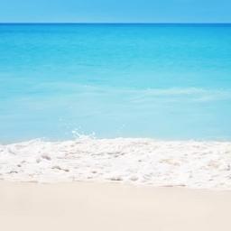 _lucatesta's profile picture. 짱쎈 루카님