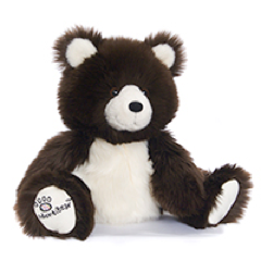 Unique Child Identity Kits with Lovable, Cuddly Teddy Bears; Safety Tips and Safety MP3 for Kids