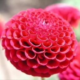 dsk_45's profile picture. 