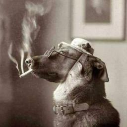 elfrabos's profile picture. Estoy pero no estoy...........?