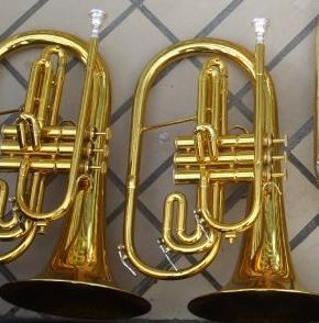Mellophone Section of the University of Minnesota Marching Band