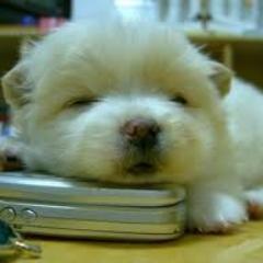 DevinLawson523's profile picture. devin sign kick my butt