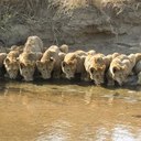 Jordan Pretorius - @JordanPret - Twitter