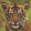 xuxemicy Profile Picture