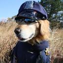 Caleb Gallagher - @K9Gallagher - Twitter