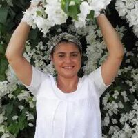 Rasha al Ameer (@rashalisa) 's Twitter Profile