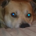 cheryl wing - @chezzawing - Twitter