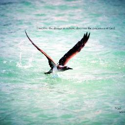 MK_MONEY_ONLINE's profile picture. NOW you have the opportunity of being in at the start of something that will sweep the world.