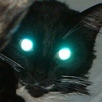 Jason Burt (@jambees) 's Twitter Profile