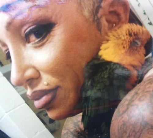 Female International Bodybuilder & Powerlifter. Owner of 7 Parrots. Artist, Retired, Personal Trainer. Groton CT 06340. USA