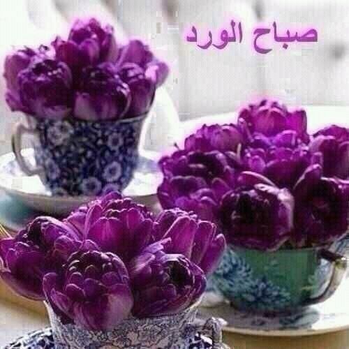 الهم ارزقني بر والداي