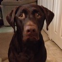 Nina Olson - @AbdoOlson - Twitter