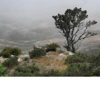 Trucking (@trucking) 's Twitter Profile