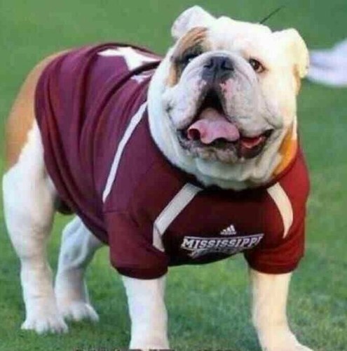 #dawg32