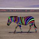 Mohamed Ghaleb - @ghaleb_mohamed - Twitter