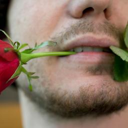 Apaixonado ? Fique inspirado com Lindas frases de Amor.  follow me