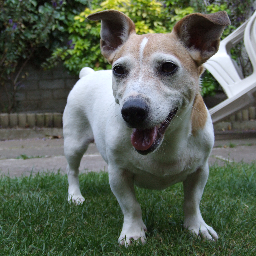 meggynmads's profile picture. Animal Lover.