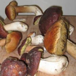 ivanoharris's profile picture. 