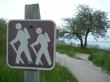Ever need an escape? UNBSJ's Walking Trails would be the perfect place, but we need to get them back up and running! Share your questions, ideas and support!