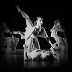 annie_qiak's profile picture. 