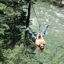 robyncastellani's profile picture. 