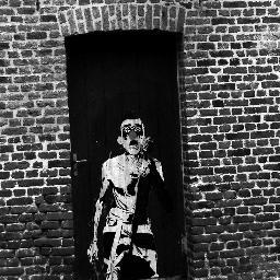 Photographe film amateur, parfois je prends de belles photos.