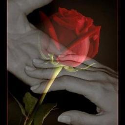 YelDuru's profile picture. 