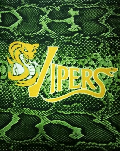 MichiganVipers's profile picture. Amateur Football Team based in the city of Detroit. We believe in a clean, aggressive, highly competitive football experience. Affiliated with the C.R.F.L.